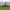 https://res.cloudinary.com/billionhands/image/upload/v1777123370/items/ncjf7ri8l1ndkqe6onqj.webp-3cover