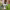 https://res.cloudinary.com/billionhands/image/upload/v1777126545/items/xfxpotshwmsmcvdtdzjz.webp-2cover