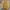 https://res.cloudinary.com/billionhands/image/upload/v1777127870/items/ftgbvtbgxcc08ifiuhtb.jpg-3cover