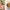 https://res.cloudinary.com/billionhands/image/upload/v1777132109/items/vqx1rsghirnsb0mtni3o.jpg-1cover