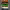 https://res.cloudinary.com/billionhands/image/upload/v1777132135/items/cxk8et1k1rlyyapye8b7.jpg-1cover
