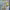 https://res.cloudinary.com/billionhands/image/upload/v1777132139/items/xa02lzmpg9bgmvfuuukq.jpg-1cover