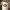 https://res.cloudinary.com/billionhands/image/upload/v1777132685/items/gwtzpqd76umfzoqn5rlg.webp-1cover