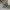 https://res.cloudinary.com/billionhands/image/upload/v1777133639/items/cbuor0l2fhx1eu252nih.jpg-1cover