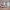 https://res.cloudinary.com/billionhands/image/upload/v1777133643/items/e5du9uu7xdslzflqwrxn.jpg-2cover