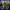 https://res.cloudinary.com/billionhands/image/upload/v1777135909/items/cnowiopo4jsfrjpm0yov.jpg-1cover