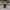 https://res.cloudinary.com/billionhands/image/upload/v1777138349/items/c07mzluxcokyrkoyvyzv.png-0cover
