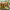 https://res.cloudinary.com/billionhands/image/upload/v1777139706/items/olxqpcx7jw3wiv9jpb1s.jpg-1cover