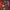https://res.cloudinary.com/billionhands/image/upload/v1777139714/items/f22fiw34zx0qcxmvvhwq.jpg-3cover