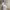 https://res.cloudinary.com/billionhands/image/upload/v1777140178/items/ykdls7r1b09luhtk1ems.jpg-0cover