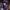 https://res.cloudinary.com/billionhands/image/upload/v1777142183/items/kvcbhtjnvjzxdcy8hxqj.webp-0cover