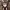 https://res.cloudinary.com/billionhands/image/upload/v1777142190/items/au5enh3q8xucvn4b5jbs.jpg-1cover