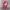 https://res.cloudinary.com/billionhands/image/upload/v1777144829/items/wacganlfiydksfgwnwhk.webp-1cover
