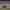 Clasificación de la NASCAR Cup Series para la Jack Link's 500 (Talladega Superspeedway, Alabama) (25 de abril de 2026) cover