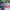https://res.cloudinary.com/billionhands/image/upload/v1777153405/items/kmyxc4nd5gjbpd5ydydz.jpg-1cover