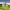 Scampston Hall (Yorkshire Wolds, England) cover