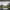 https://res.cloudinary.com/billionhands/image/upload/v1777156417/items/jpi68ymto8mhsdpveoex.webp-3cover