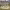 https://res.cloudinary.com/billionhands/image/upload/v1777156419/items/jattxyc67dzzgcmw7nf2.jpg-3cover