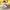 https://res.cloudinary.com/billionhands/image/upload/v1777159254/items/gvf7amwdjy2krxxx2d2s.webp-1cover