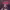 https://res.cloudinary.com/billionhands/image/upload/v1777163208/items/z1plmxmsmx6zxluyhvlk.jpg-2cover