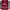 https://res.cloudinary.com/billionhands/image/upload/v1777168320/items/dbxfvg0onp2asnqqvey6.jpg-3cover