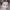 https://res.cloudinary.com/billionhands/image/upload/v1777169780/items/xusdnwtv5dfnvbsfrbgi.png-3cover