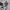 https://res.cloudinary.com/billionhands/image/upload/v1777170168/items/lzquld1wmcnozsyi1mgy.webp-2cover