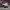 https://res.cloudinary.com/billionhands/image/upload/v1777174006/items/c7yyb4lkdfkf7ksr1mik.avif-1cover