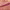 https://res.cloudinary.com/billionhands/image/upload/v1777174702/items/fihhvnysbtrfte0wso2n.jpg-0cover