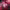 https://res.cloudinary.com/billionhands/image/upload/v1777174713/items/vtdponzbenkzgi9txrdi.jpg-2cover