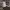 https://res.cloudinary.com/billionhands/image/upload/v1777176181/items/hfn9pkoun9wp7cgityrn.jpg-0cover