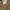 https://res.cloudinary.com/billionhands/image/upload/v1777176205/items/bljgcgdc0txoe8jhepuu.jpg-3cover