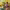 https://res.cloudinary.com/billionhands/image/upload/v1777176883/items/efhciv8yl2j33cdc0nso.png-2cover