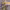 https://res.cloudinary.com/billionhands/image/upload/v1777178517/items/uiyw9odzfvcg6lrajsza.jpg-3cover