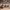 https://res.cloudinary.com/billionhands/image/upload/v1777182188/items/nmvsoka0hwnlyupspfkt.webp-3cover