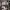 https://res.cloudinary.com/billionhands/image/upload/v1777182199/items/l0aassnpsz4ecfyzfzfq.png-3cover