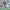 https://res.cloudinary.com/billionhands/image/upload/v1777182276/items/lzngz0ydakypnywiupqy.png-0cover