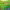 https://res.cloudinary.com/billionhands/image/upload/v1777183979/items/ljd4bjzkfevatx3luo3g.jpg-2cover