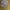 https://res.cloudinary.com/billionhands/image/upload/v1777185467/items/wu8riulrrr4xgbnfp9pn.jpg-0cover