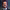 https://res.cloudinary.com/billionhands/image/upload/v1777188639/items/jjqjklerdlhi9ubv0ctl.jpg-3cover