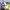 https://res.cloudinary.com/billionhands/image/upload/v1777208256/items/e7mem6jijbhpsivleato.jpg-3cover
