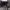 https://res.cloudinary.com/billionhands/image/upload/v1777208260/items/tyzkymvluguamrt9wdo5.jpg-1cover