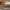 https://res.cloudinary.com/billionhands/image/upload/v1777213207/items/imi7zmerqobkzugmydq5.webp-1cover