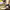 https://res.cloudinary.com/billionhands/image/upload/v1777218484/items/cg41abef69vudex5mr17.jpg-2cover