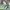 Tony Green (Buffalo Bills) - 101 Yards cover