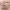 https://res.cloudinary.com/billionhands/image/upload/v1777224045/items/pearnmcizuhezoq5nkdr.jpg-2cover