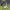 Vaselina de Mesut Özil contra el Ludogorets (Fase de grupos de la Liga de Campeones 2016) cover