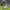 https://res.cloudinary.com/billionhands/image/upload/v1777225532/items/rghymcncqf2bn13onbpl.jpg-3cover