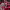 https://res.cloudinary.com/billionhands/image/upload/v1777231600/items/swsh0i9eclflwxvtlmmu.jpg-3cover
