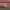 https://res.cloudinary.com/billionhands/image/upload/v1777231602/items/npq3r5xghnc7n6xh5nta.webp-3cover